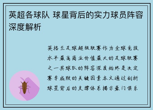 英超各球队 球星背后的实力球员阵容深度解析