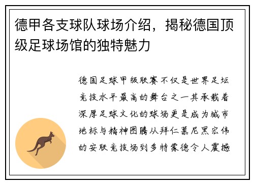 德甲各支球队球场介绍，揭秘德国顶级足球场馆的独特魅力